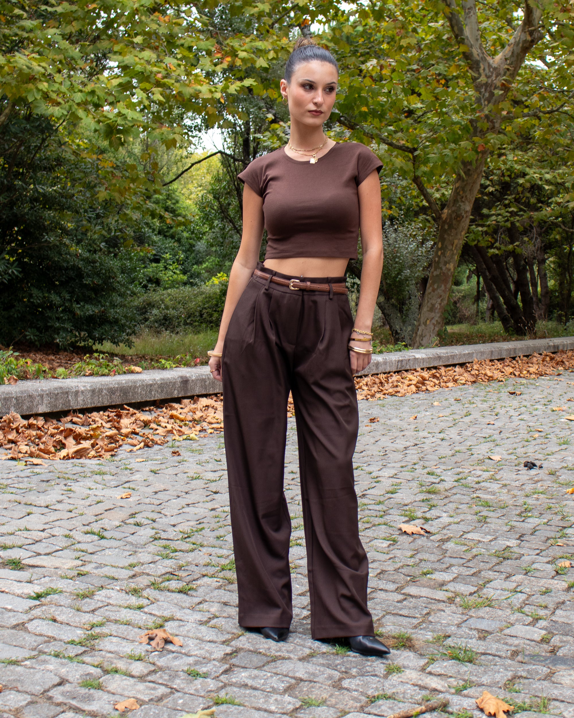 Calças de Alfaiataria em Castanho